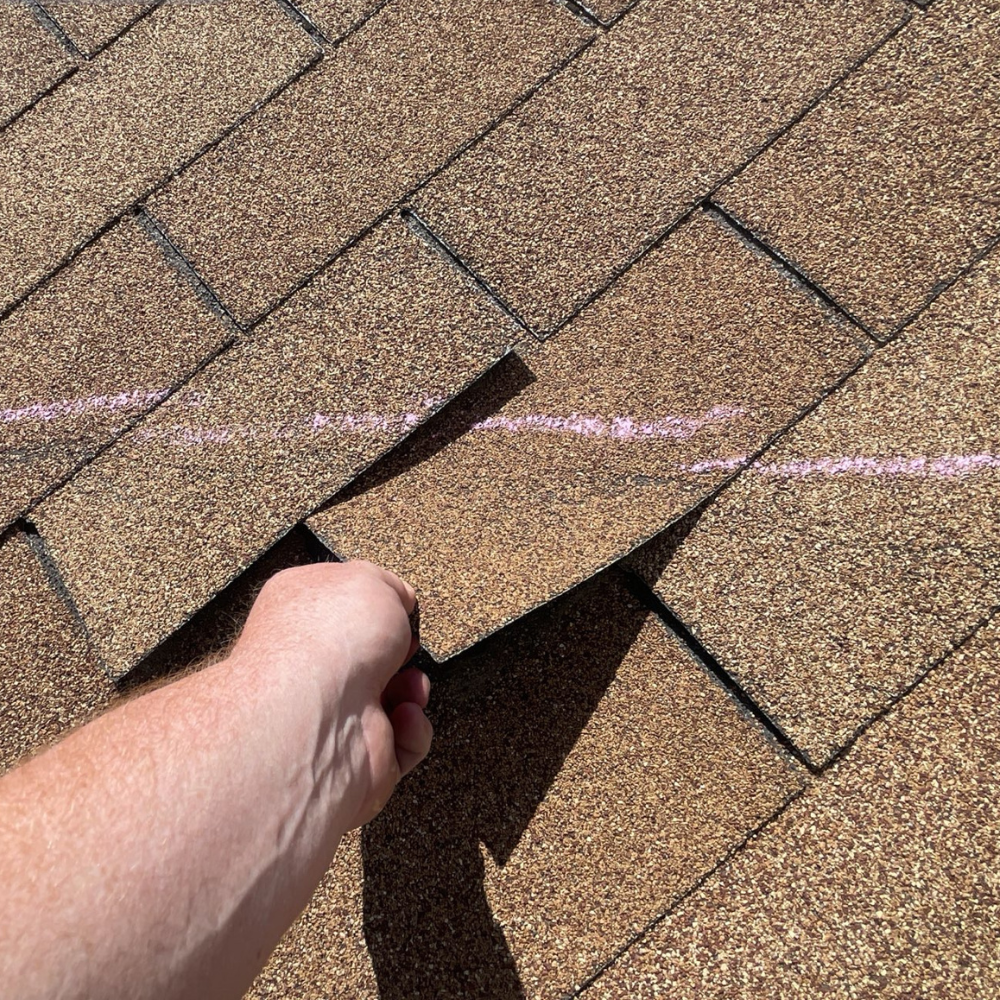 Curling asphalt shingle lifted by a hand, a clear sign of when to replace your roof.