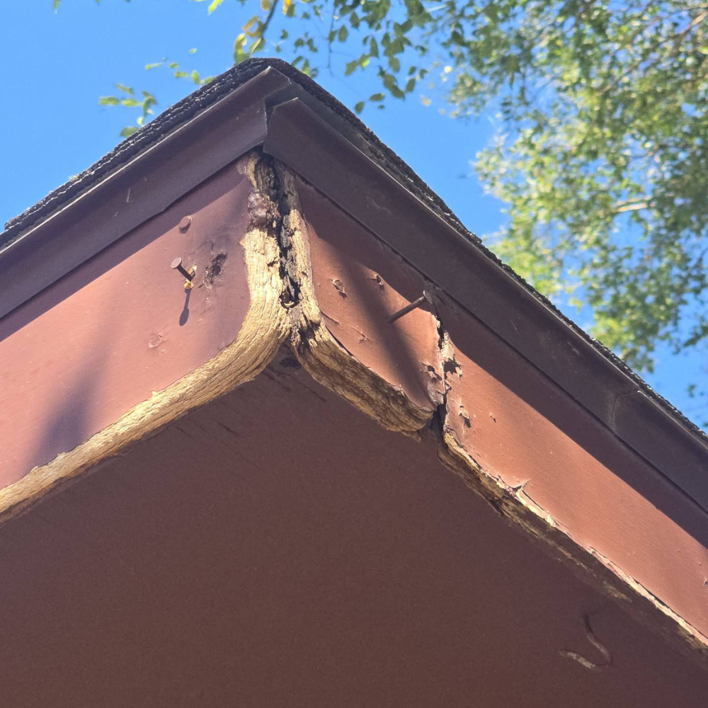 close-up of rotted fascia board and peeling paint on a home’s roofline