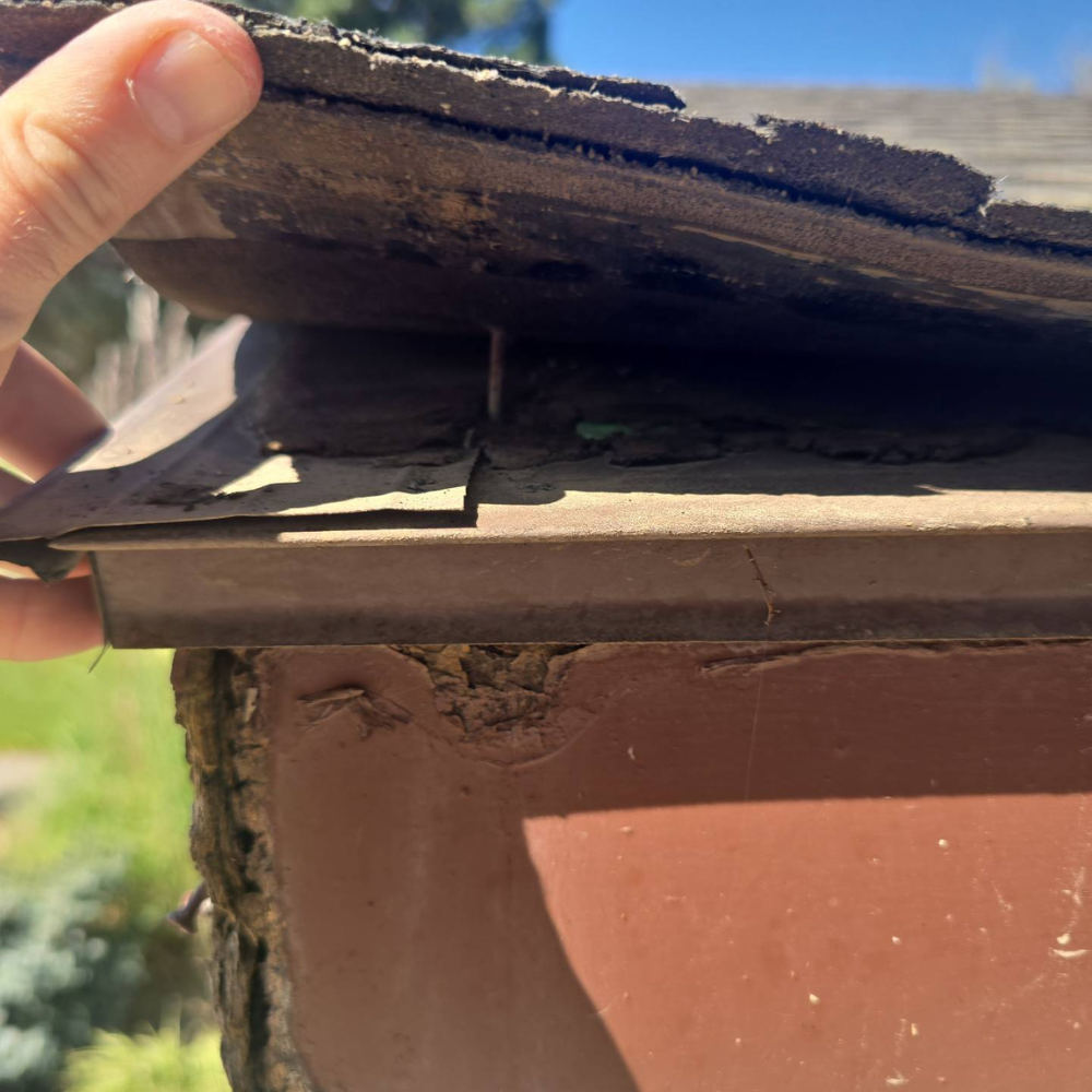 roof edge showing lifted shingles and wood rot during inspection