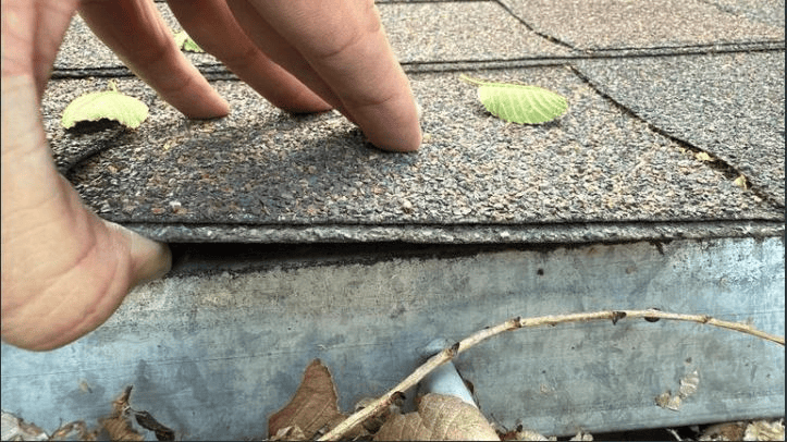 Asphalt shingles – lifted edge/granule wear detail